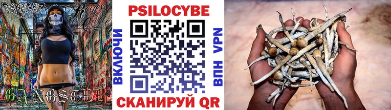 Псилоцибиновые грибы мухоморы  купить наркотики цена  Чёрмоз 